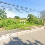 43992 – Land for sale, on the Suranarai Road, Nakhon Ratchasima, area 79-1-61 rai. Gallery Image