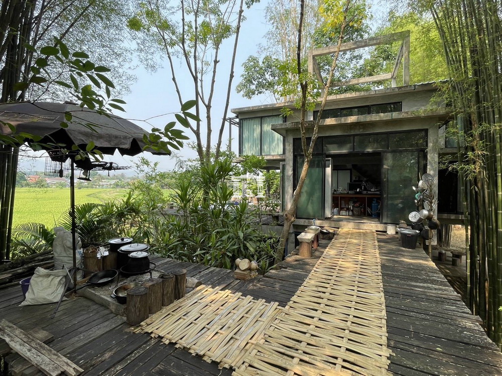 Chaing-Mai-20.jpg