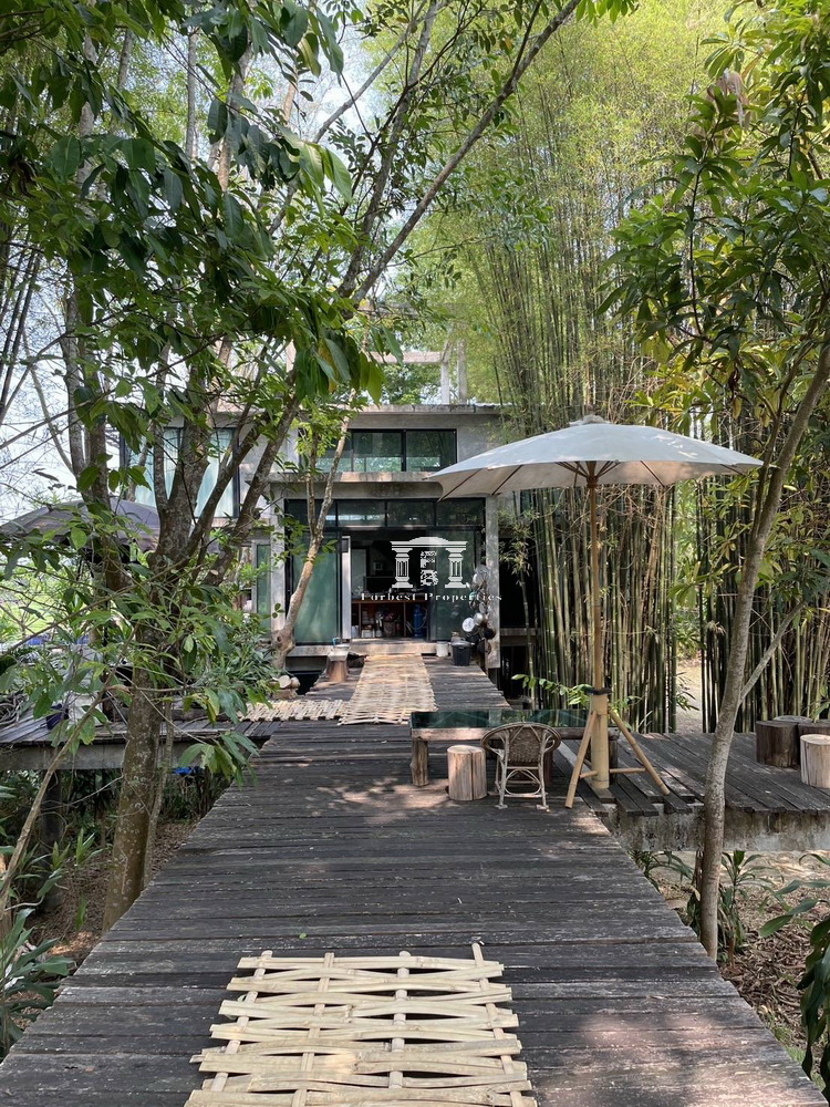 Chaing-Mai-22.jpg