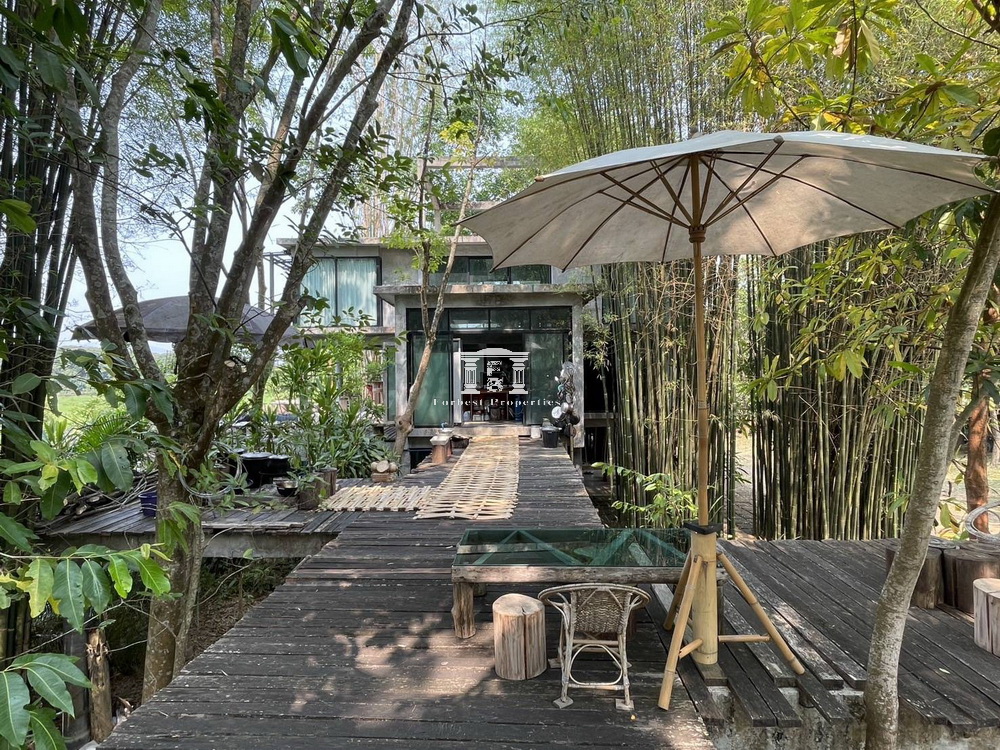 Chaing-Mai-25.jpg