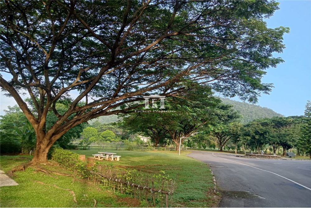 Khao-Yai-05