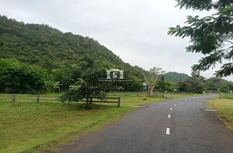 Khao-Yai-10