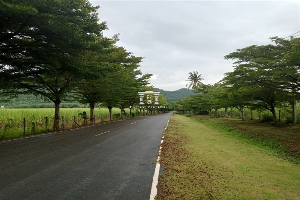 Khao-Yai-12