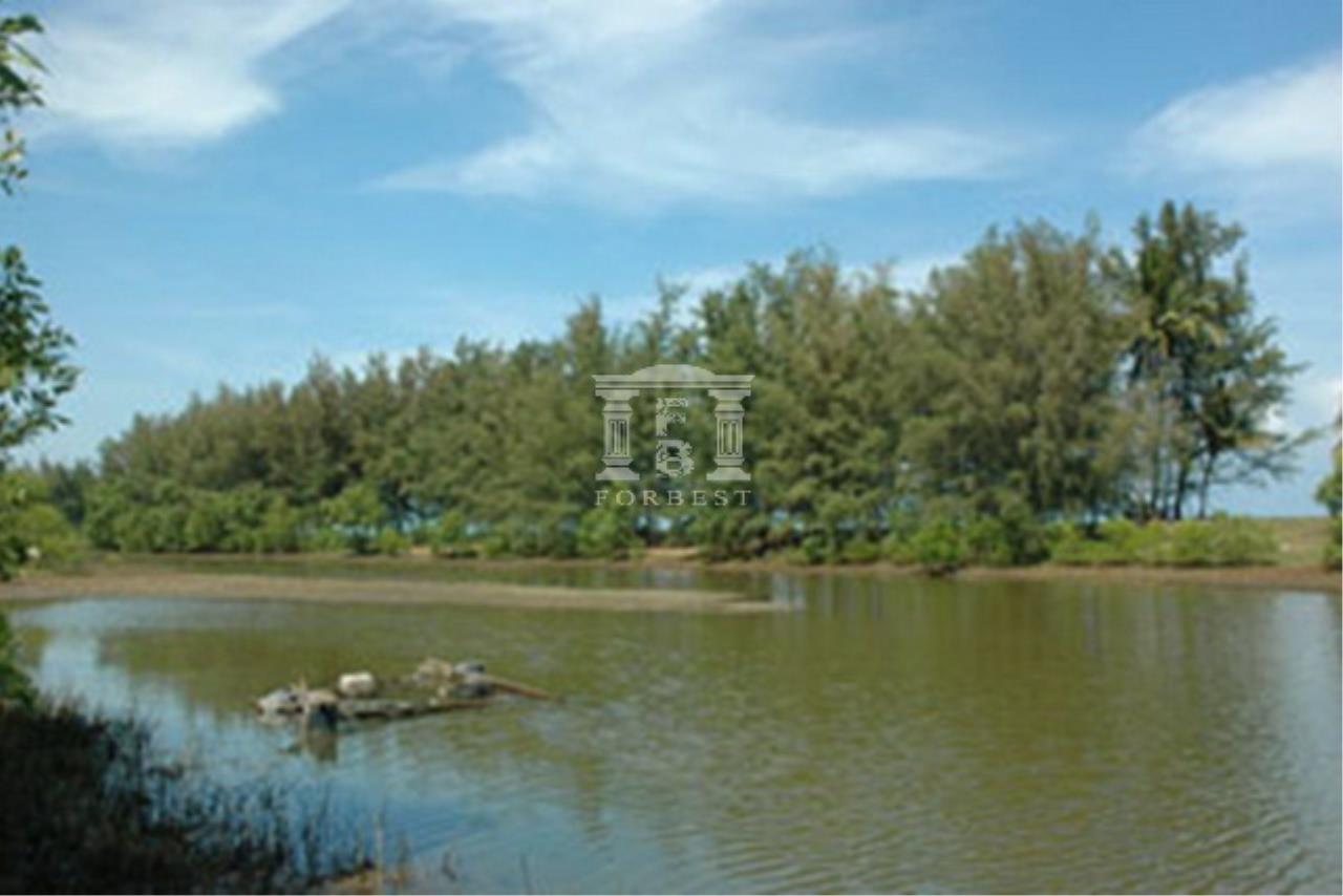 bangsaphan-4.jpg