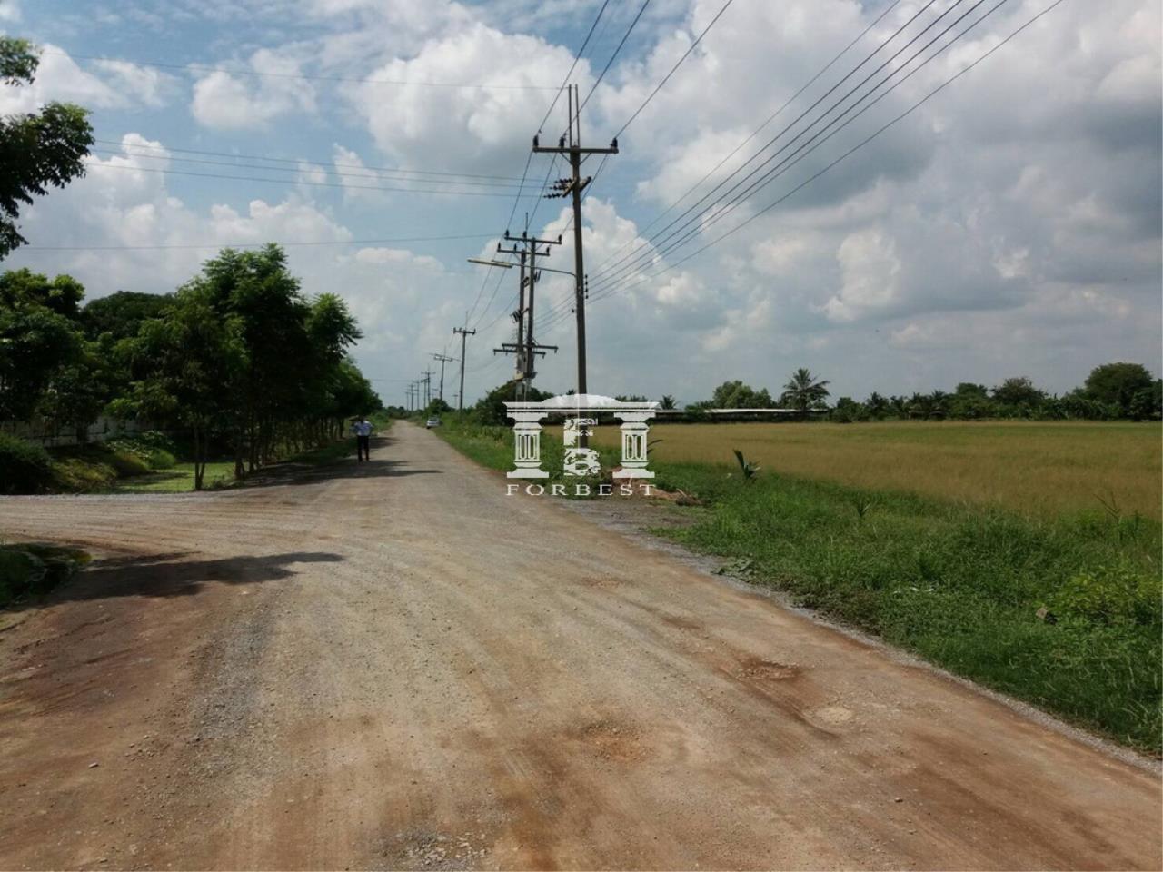 nakhon-pathom-09.jpg